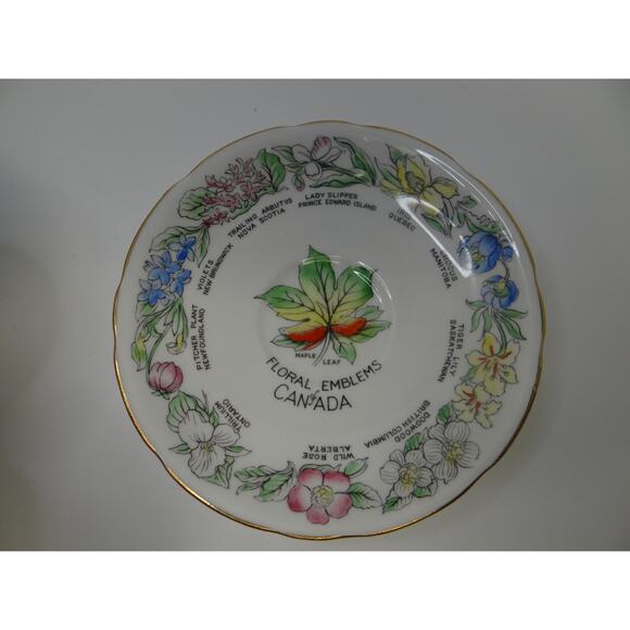 Floral Emblems of Canada  tea cup/ saucer Royal Stafford Bone China Collectable - Picture 7 of 12